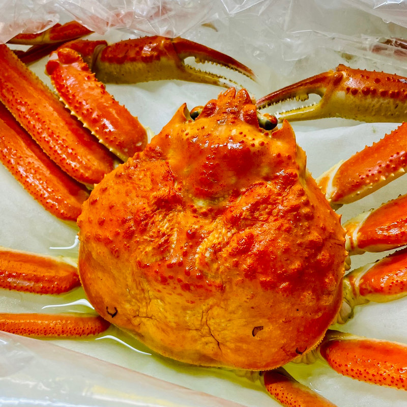 紅ズワイガニ(かにの渡辺)