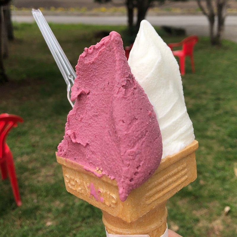 ジェラートダブル(ウエモンズ ハート )