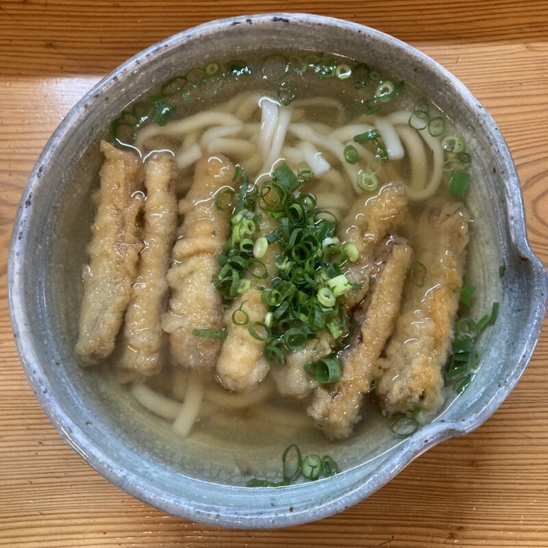 ごぼう天うどん(うどん勢)