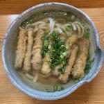 ごぼう天うどん