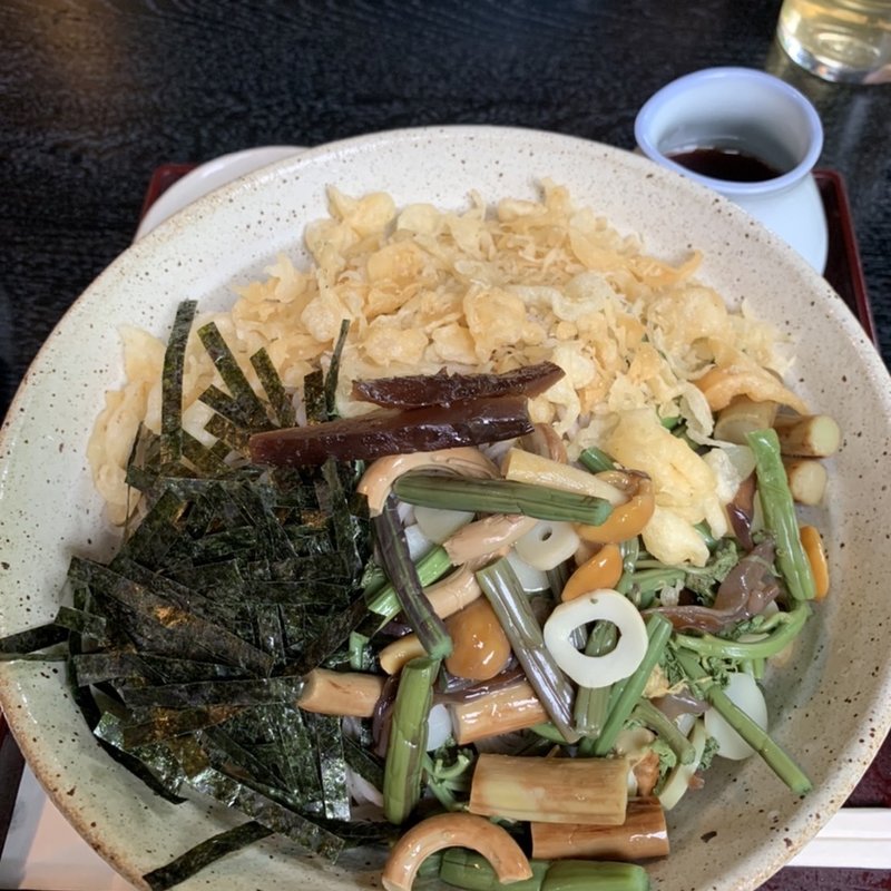 冷やし山菜たぬきそば(松の木 )