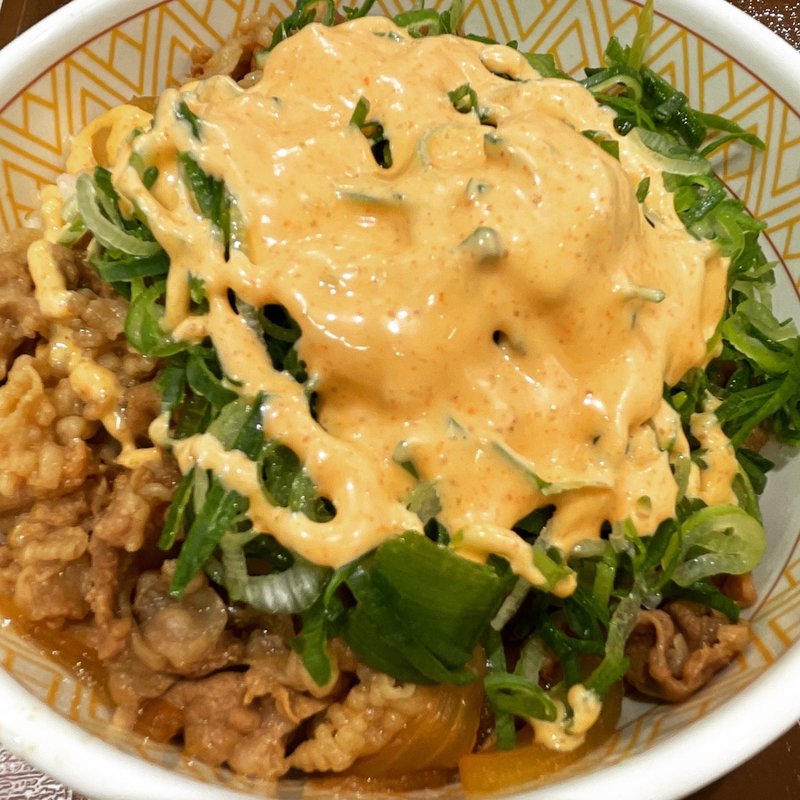 ネギ明太マヨ牛丼コンビ(すき家 梅田東店 )