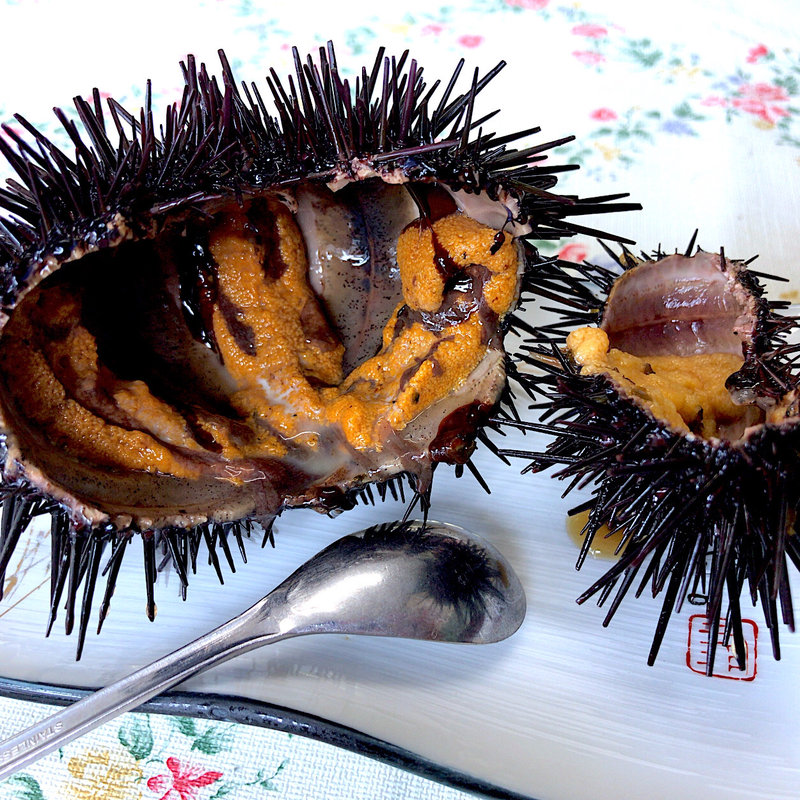 殻付き活うに(北山崎レストハウス )