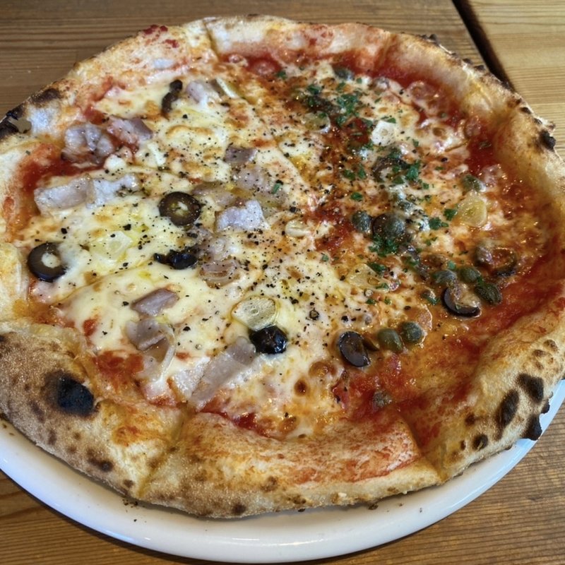 (pizza italian bar GATTO)