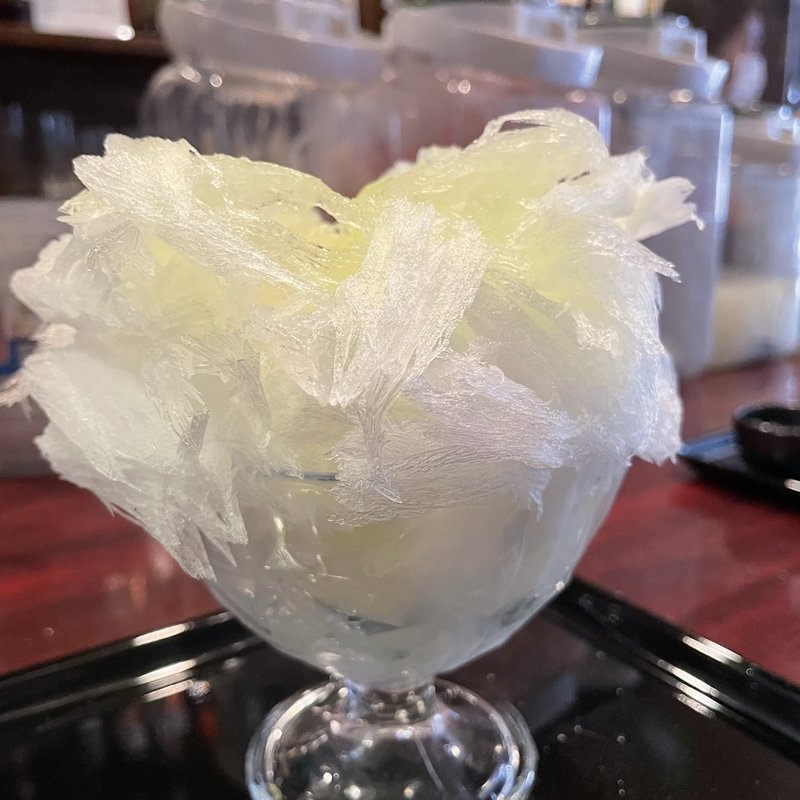 市場で目利き！肥後グリーンメロンデラックス(四代目大野屋氷室)