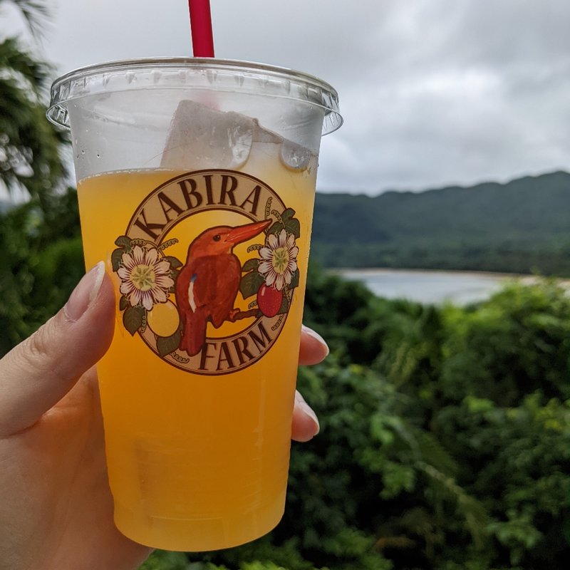 パッションジュース(川平ファーム （カビラファーム）)