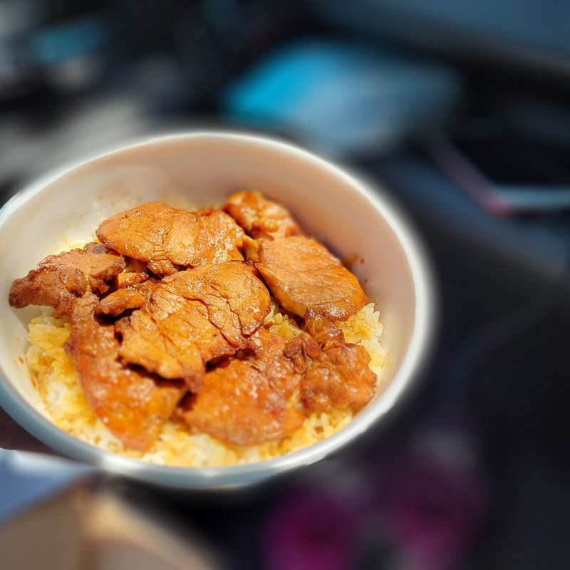 ヒレぶた丼(ぶた丼のとん田)