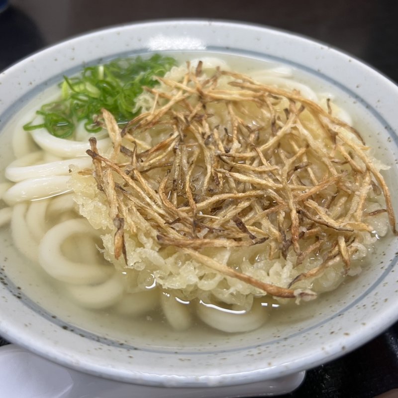 ごぼう天うどん(一休うどん)