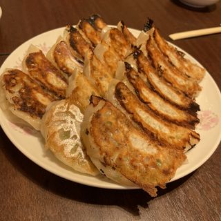 焼き餃子(春来 )
