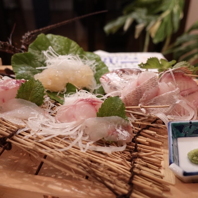 地魚のお造り(オーベルジュ波太オルビス)