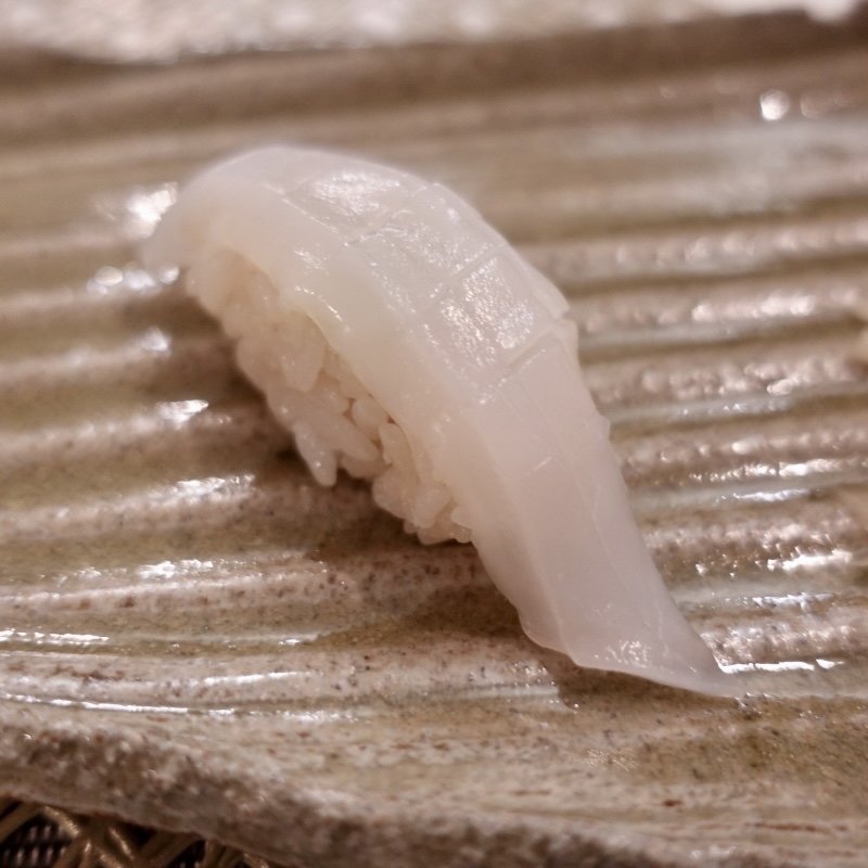 アオリイカ(オーベルジュ波太オルビス)