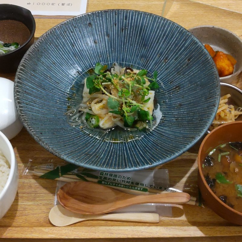 お野菜の定食 おからとニラの水餃子(Washoku バル かめすけ)