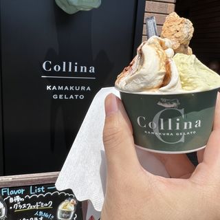 ピスタチオ&ティラミス(Collina kamakura gelato)
