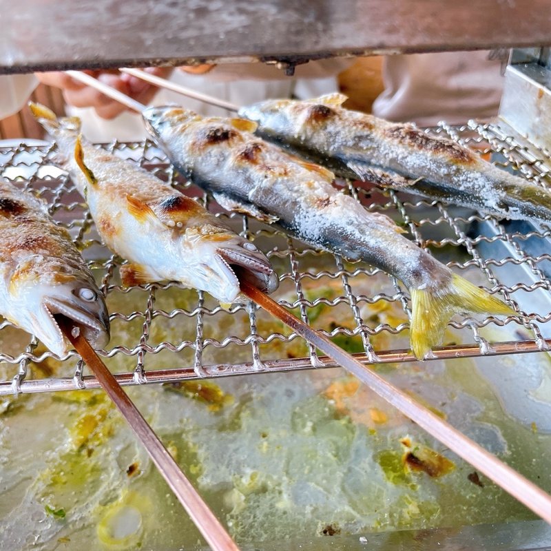 生アユ1匹(洞戸観光ヤナ)