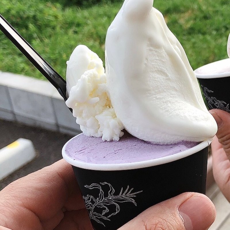 ブルーベリー＆ミルク2種盛りカップ(ジェラテリア ベガ)