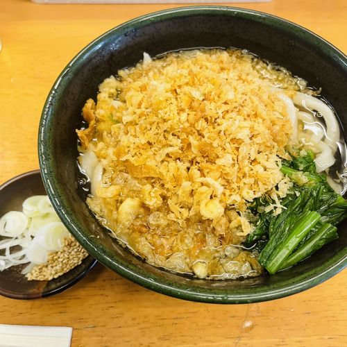冷したぬきうどん(関西風手打うどん いらっしゃい )の口コミ一覧 | No