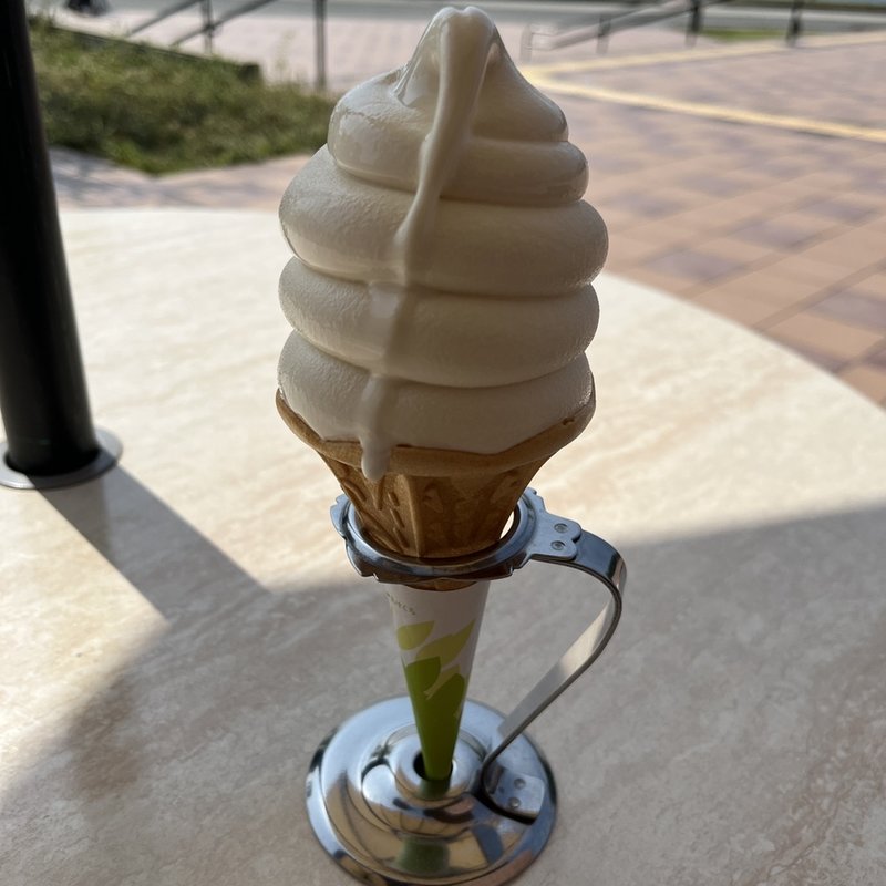 ソフトクリーム ミルク(カフェ アクアム)