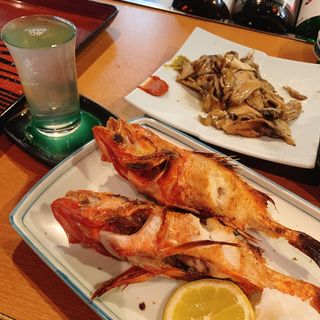 キンキ(山屋 )