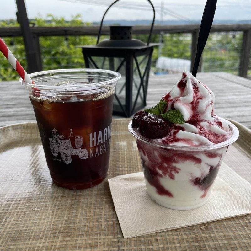 チェリーヨーグルトパフェ(ハーベスト ナガイファーム)