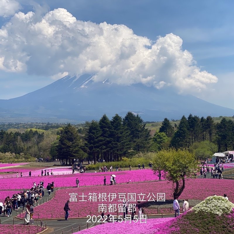 山菜ほうとう(本栖館)