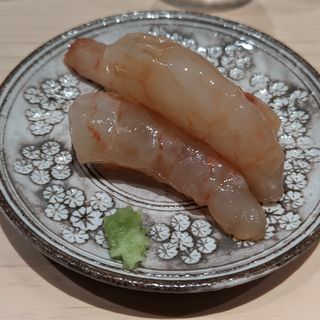 北海道産ボタン海老(鮨つぐ)