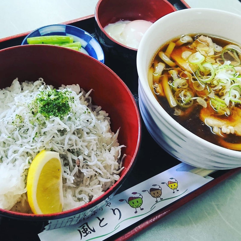 肉うどんセット しらす丼付き(風とり)