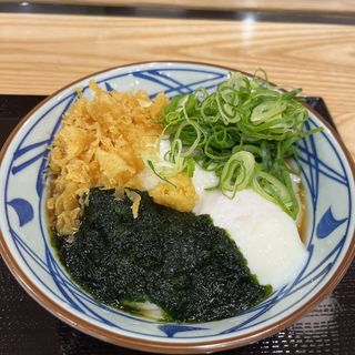生海苔とろ玉うどん(冷)(丸亀製麺 MARK IS 福岡ももち店)