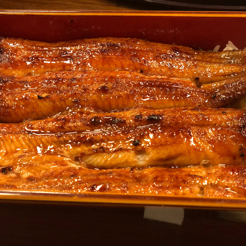 うな重　特上(魚政)