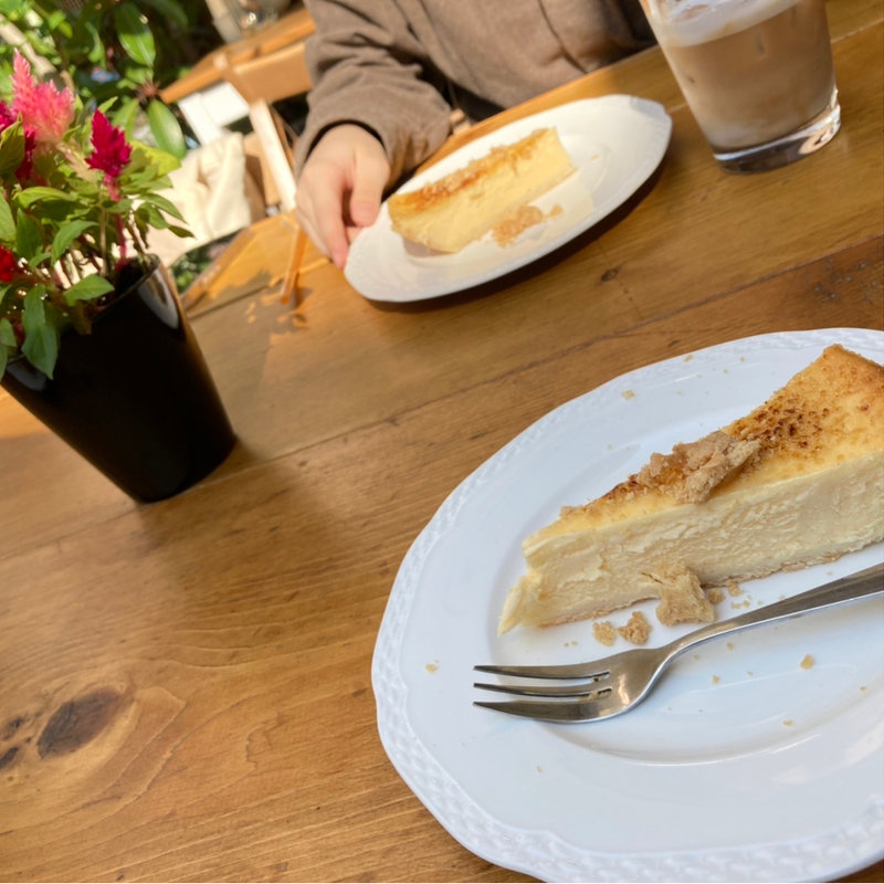 チーズケーキセット(はばでり)