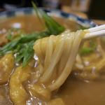 かすカレーうどん(うどん 千代)