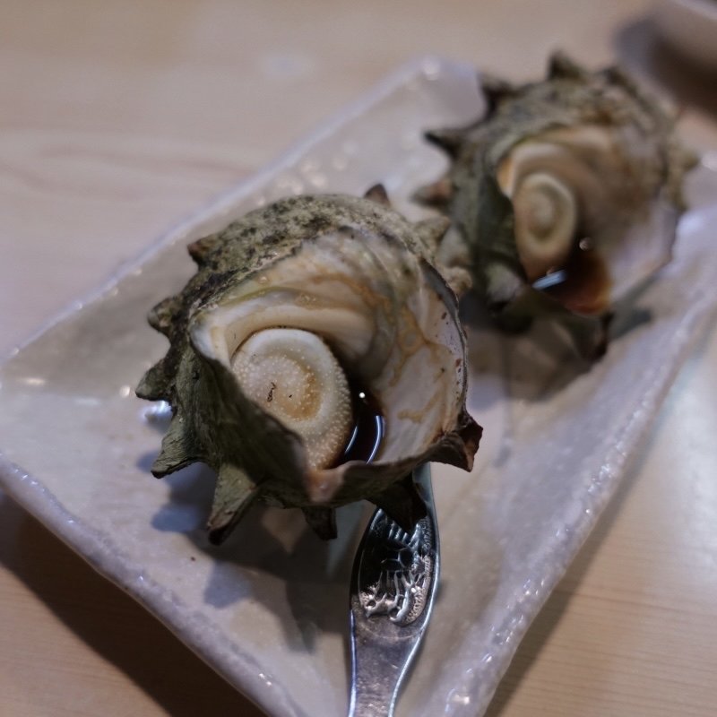 サザエ(浜っ子)