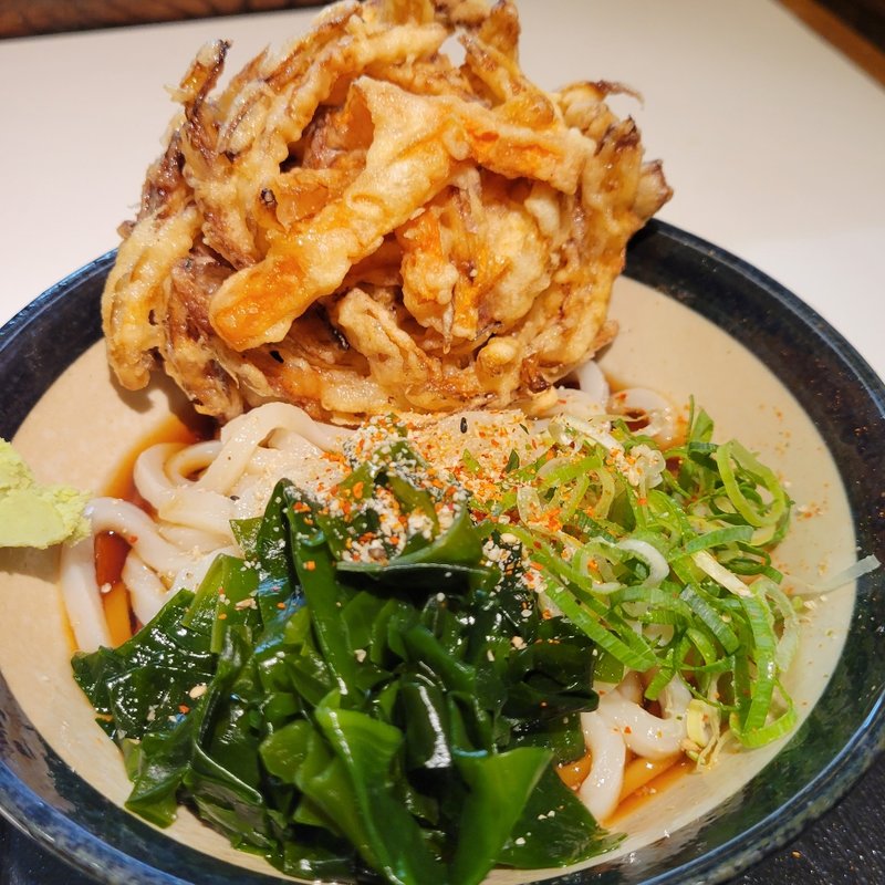 野菜天うどん(星のうどん （ほしのうどん）)