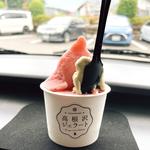 いちごのソルベ(高根沢ジェラート)