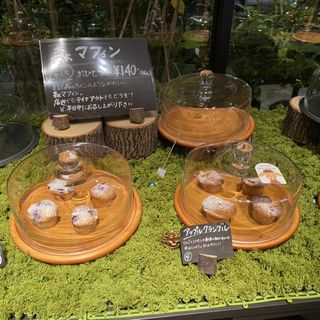 (グリーンハウス シルバ)