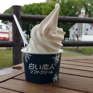 白い恋人ソフトクリーム(羊ヶ丘オーストリア館)