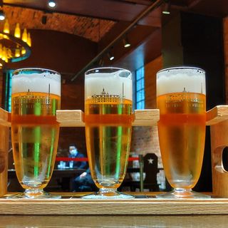 3種類のみくらべセット(サッポロビール博物館)