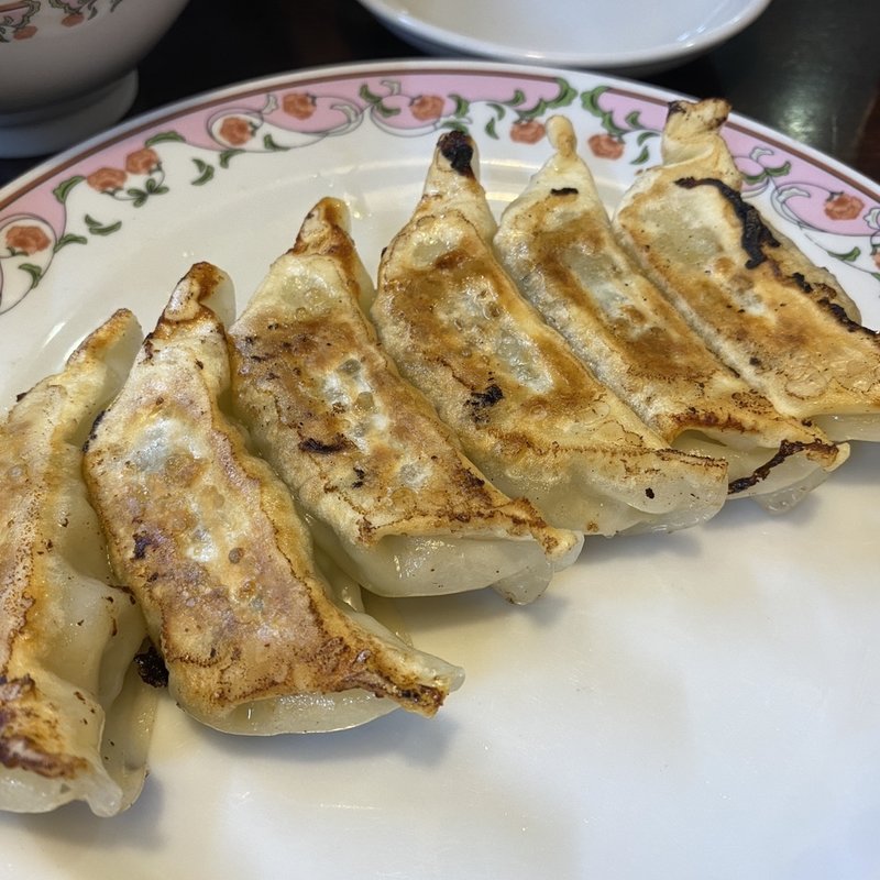 ニンニク激増し餃子(餃子の王将 西宮えびす前店)