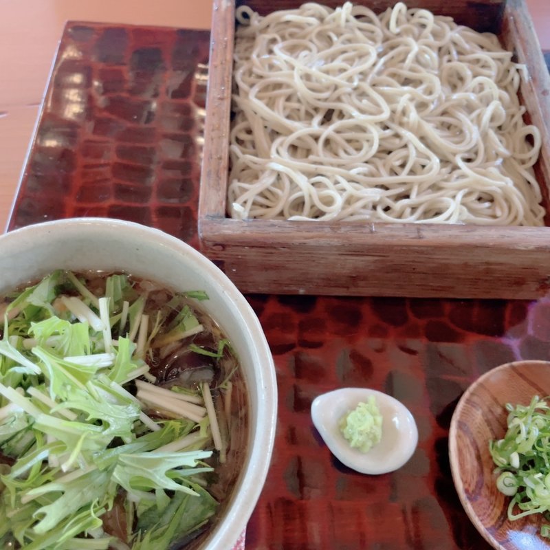 揚げなすそば(鬼怒川 竹やぶ （きぬがわ たけやぶ）)