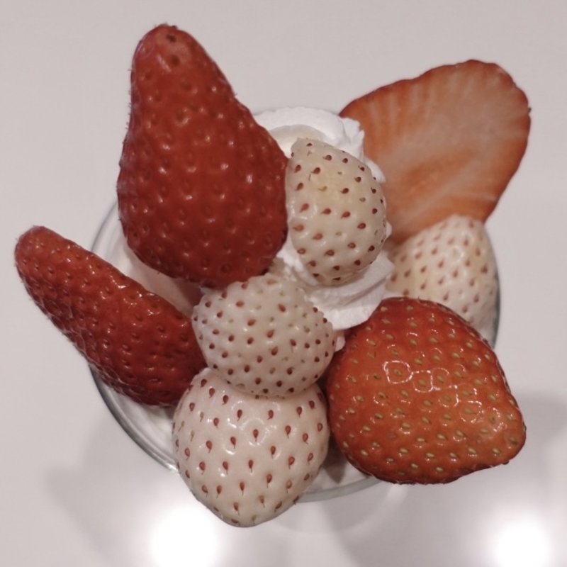 白いちごと女峰のパフェ(フォーシーズンズカフェ （FOUR SEASONS CAFE）)