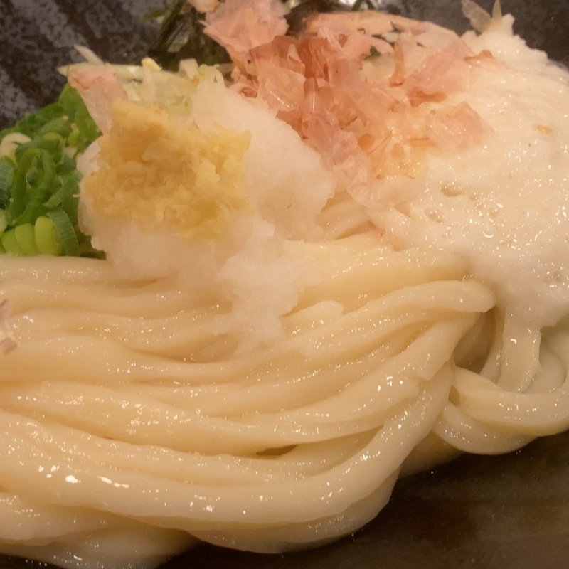 とろろおろしぶっかけ(讃岐流自家製麺 豊力)