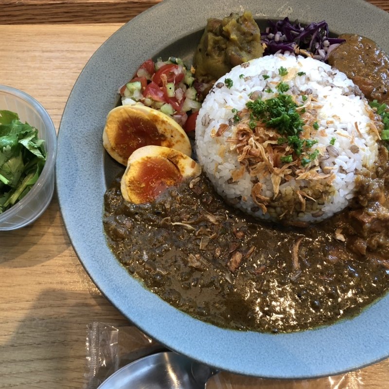 あいがけカレー+パクチー+スパイス煮卵(角川食堂)