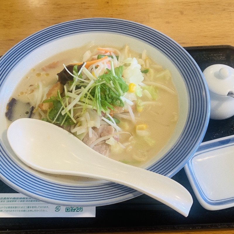 ちゃんぽん(リンガーハット 川崎稲田堤店)