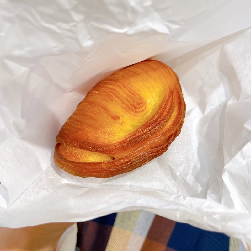 サリュー(テーラ テール )