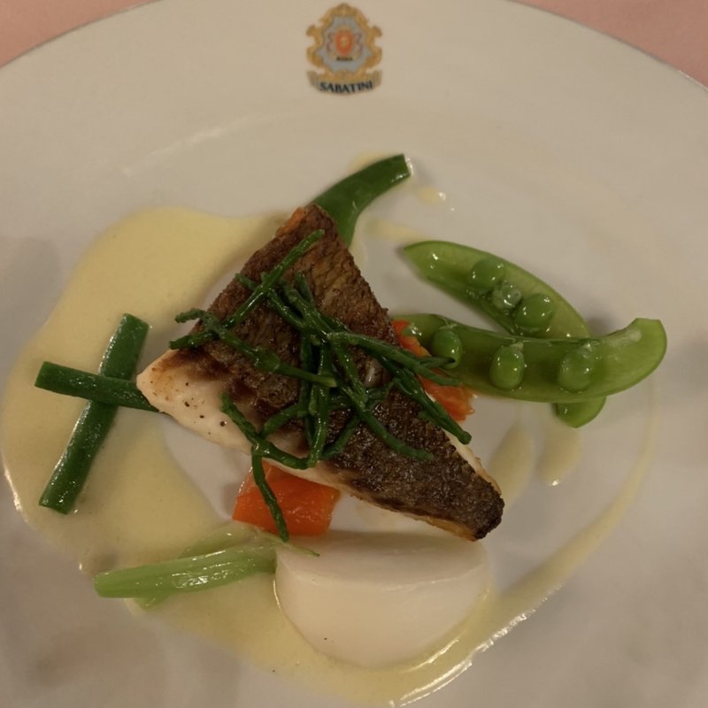 (サバティーニ)