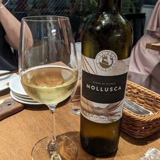 モルスカ　ブランコ(スペイン料理 Llevant （ジェバン）)