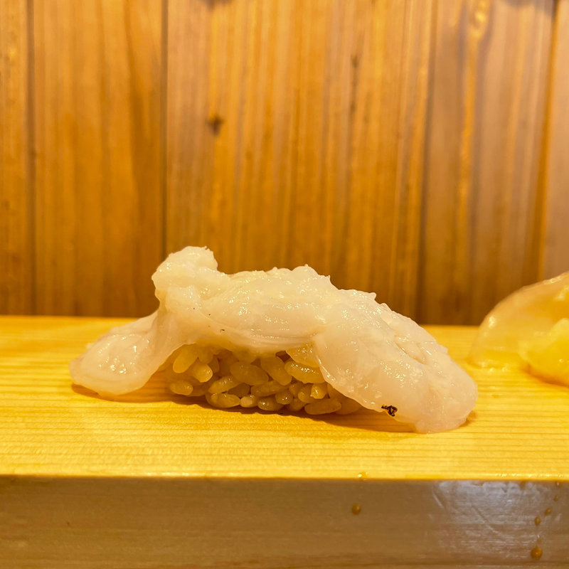 生タコ(鮨屋とんぼ 栄店)