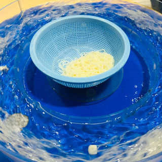 そうめん（1人前）