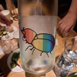 栃木県「仙禽 かぶとむし2022」(酒 秀治郎)