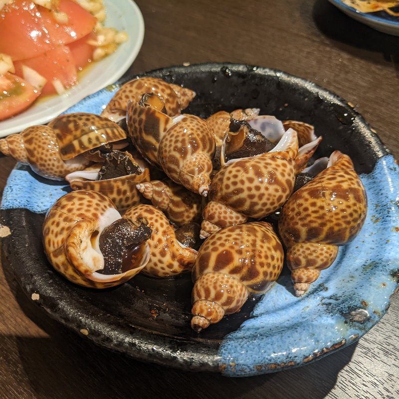 黒バイ貝煮付け(川治)