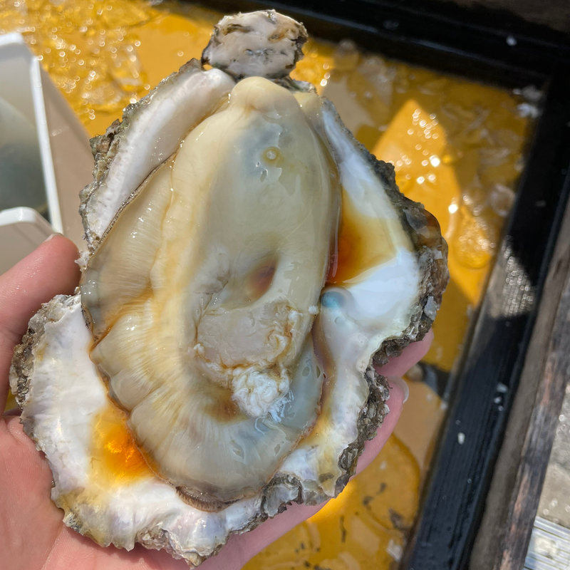 0ebd05094126a91f896fbc1fb1a2b1